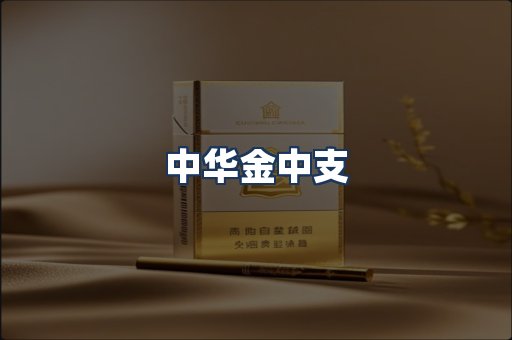中华金中支